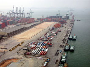 珠三角攝影采風 國際物流中心鹽田港