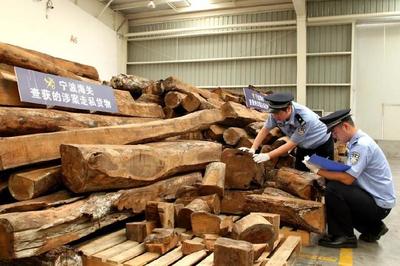 夜讀海關 | 海關14日開展打擊&ldquo;洋垃圾&rdquo;走私專項行動;跨境郵寄月餅有講究