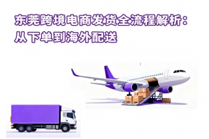 東莞國(guó)際物流 連接全球的供應(yīng)鏈樞紐